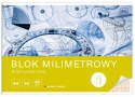 I.BLOK MILIMETROWY A3 20