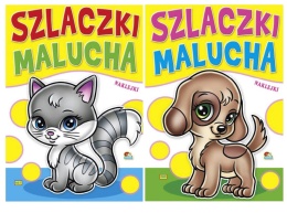 KR.020 KSIĄŻECZKA SZLACZKI ISBN 978-83-8034-044-2