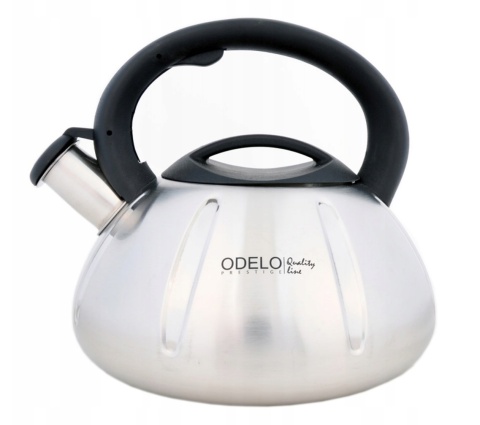 135405 CZAJNIK STALOWY CHICO 3,0 L. OD1737