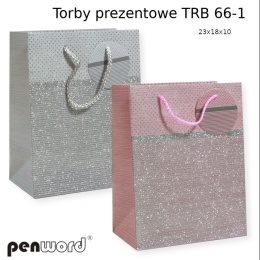 PH-1701 TORBY PREZENTOWE TRB 66-1 23x18x10 a'12