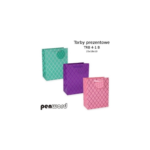 PH-2396 TORBY PREZENTOWE .4-1 B 23x18x10