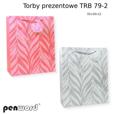 PH-2869 TORBY PREZENTOWE TRB 79-2 32x26x12 a'12