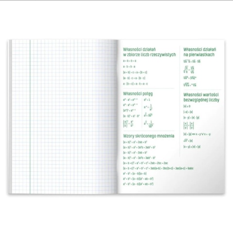 HERLITZ-500011 ZESZYT A5 60KR ECO PP MATEMATYKA