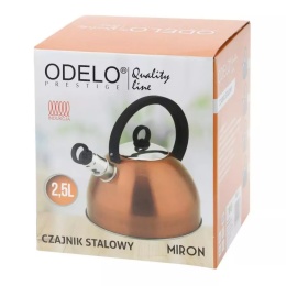 151368 CZAJNIK 2,5 L. SREBRNY MIRON /OD2210