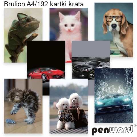 BRULION A4 192 KARTEK KRATKA KRATA # MIX WZORÓW , PENWORD