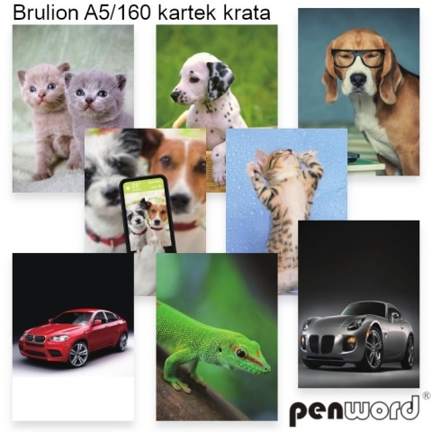 BRULION A5 160 KARTEK KRATKA KRATA # MIX WZORÓW , PENWORD