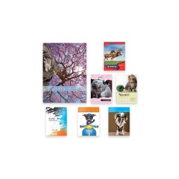 BRULION A5 96 KARTEK LINIA = MIX WZORÓW , PENWORD