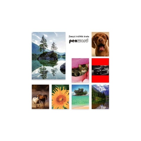 ZESZYT A4 96 KARTEK KRATKA KRATA # MIX WZORÓW , PENWORD