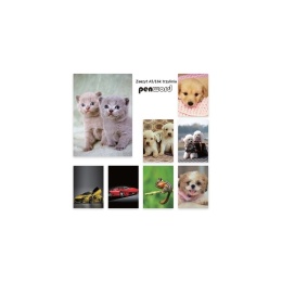 ZESZYT A5 16 KARTEK TRZY LINIA 3= MIX WZORÓW , PENWORD