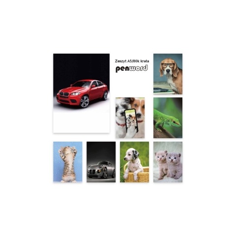 ZESZYT A5 80 KARTEK KRATKA KRATA # MIX WZORÓW , PENWORD